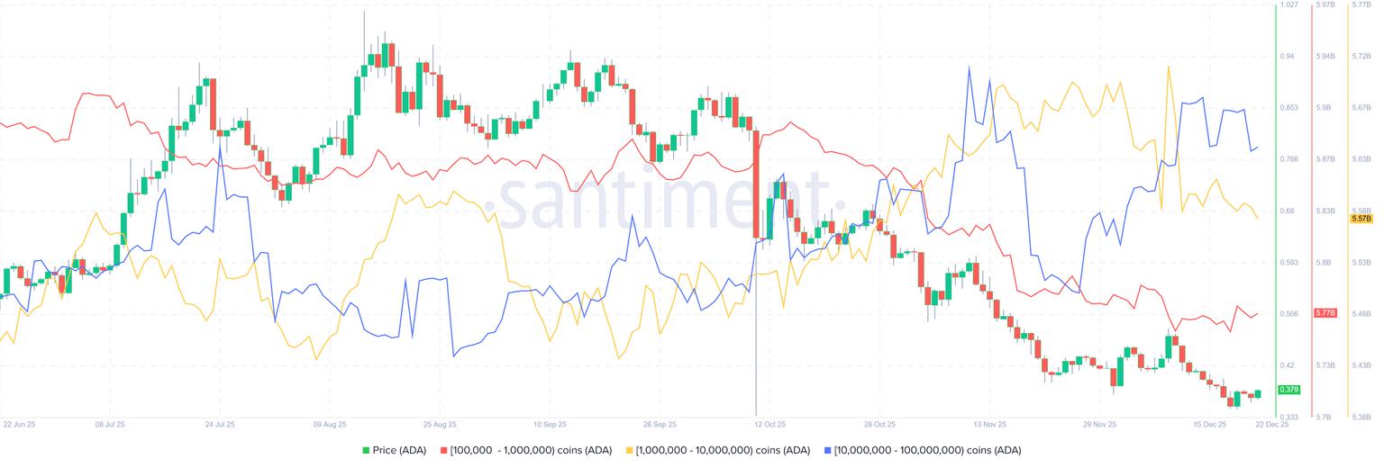 Cardano价格预测：ADA价格下跌至0.37美元，持有者开始抛售代币
